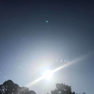 Meet your Posher, Charles